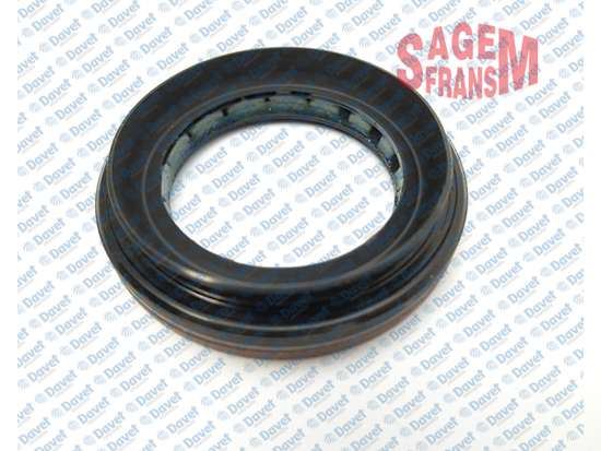 SAGEMFR 210313 Difransiyel Arka Kecesi Renault Clio Megane I Ii Iii Kangoo Laguna I Ii Scenic